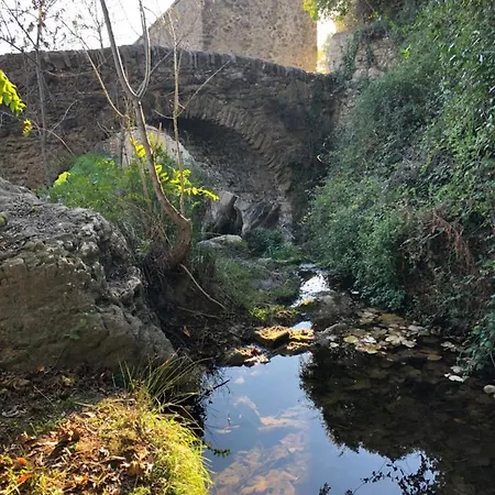 Val de Bruyères - Gîte 6 personnes 4étoiles Neffies Extérieur photo