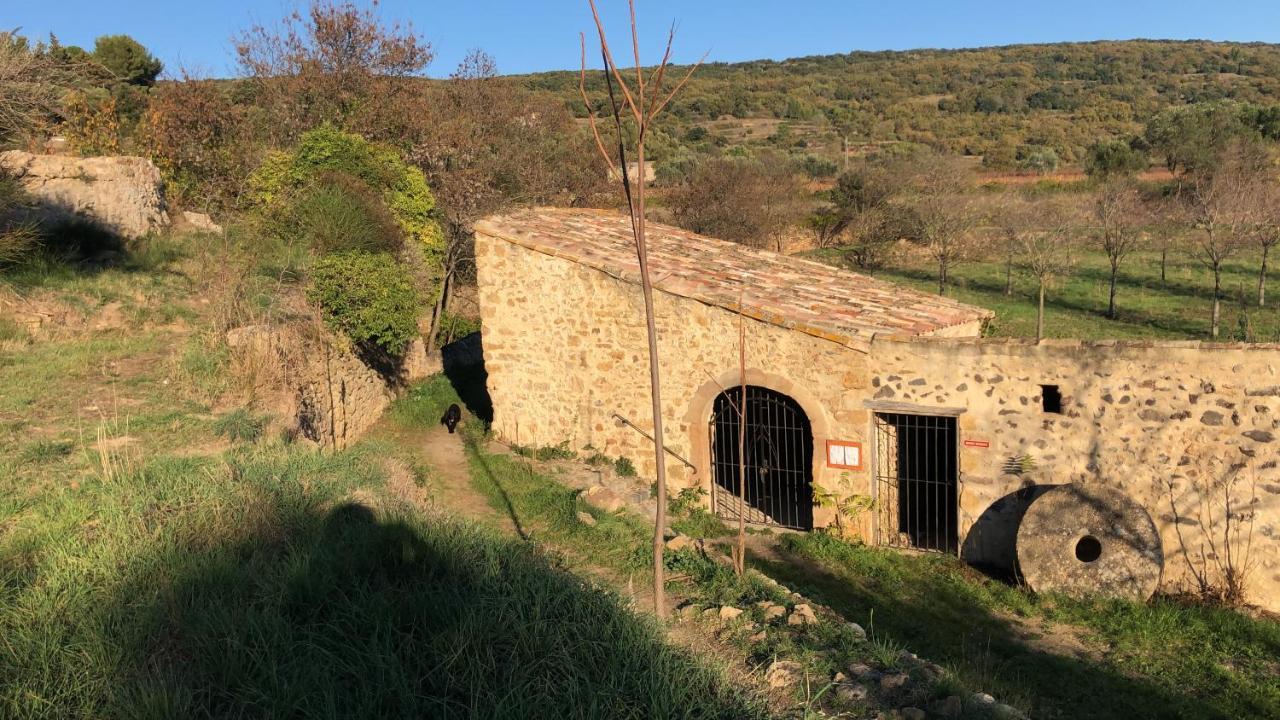Val Des Bruyeres - 15mn Pezenas Avec Terrasse Et Cour Close - Parking Privatif Securise - Wifi Ftth Gratuit